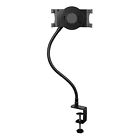 Armtbltugn Startech Tablet Mount With Gooseneck Arm New 065030862578