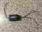 Nc-s10a Neucleus Noise Filter 150 Watts Nc-s10a Neucleus Noise Filter 150 Watts