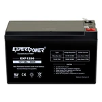 Expert Power 12V 9AH Battery For Ion Block Rocker Ups Audio. Fixed Price $29.99.