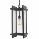 Z-lite 565CHB Black Fallow Single Light 10"W Outdoor Pendant. Fixed Price $401.72.