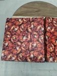Custom Cb Radio Covers Cobra 29, 148 & Uniden President Pc 78, 68 Grant Export. Fixed Price $30.00.