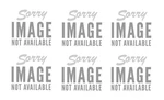 Zebra Motorola BRKT-70662-01R AN440 AN480. Fixed Price $252.99.